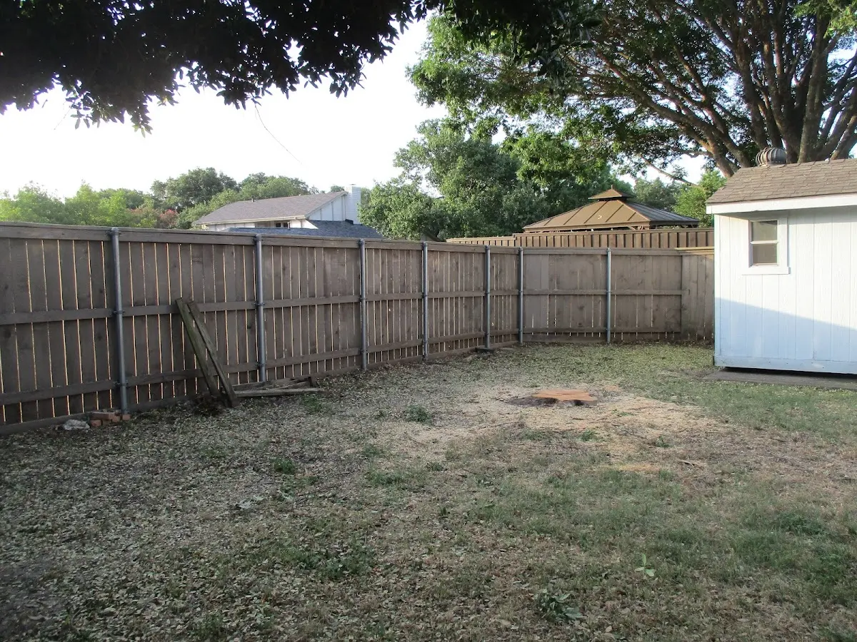 Cleared yard after professional tree removal in Francesville